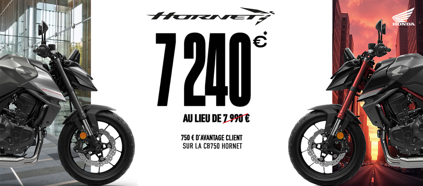 Honda Hornet 750