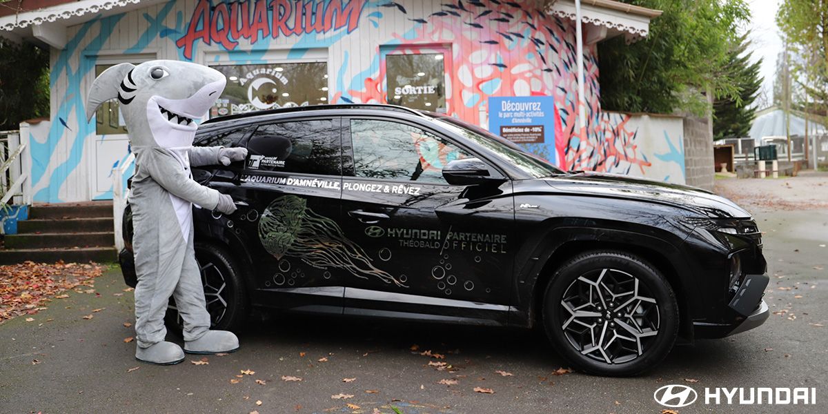 Hyundai Théobald partenaire de l'aquarium d'amnéville